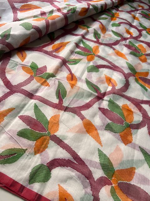 IMG_2991-1725428364556