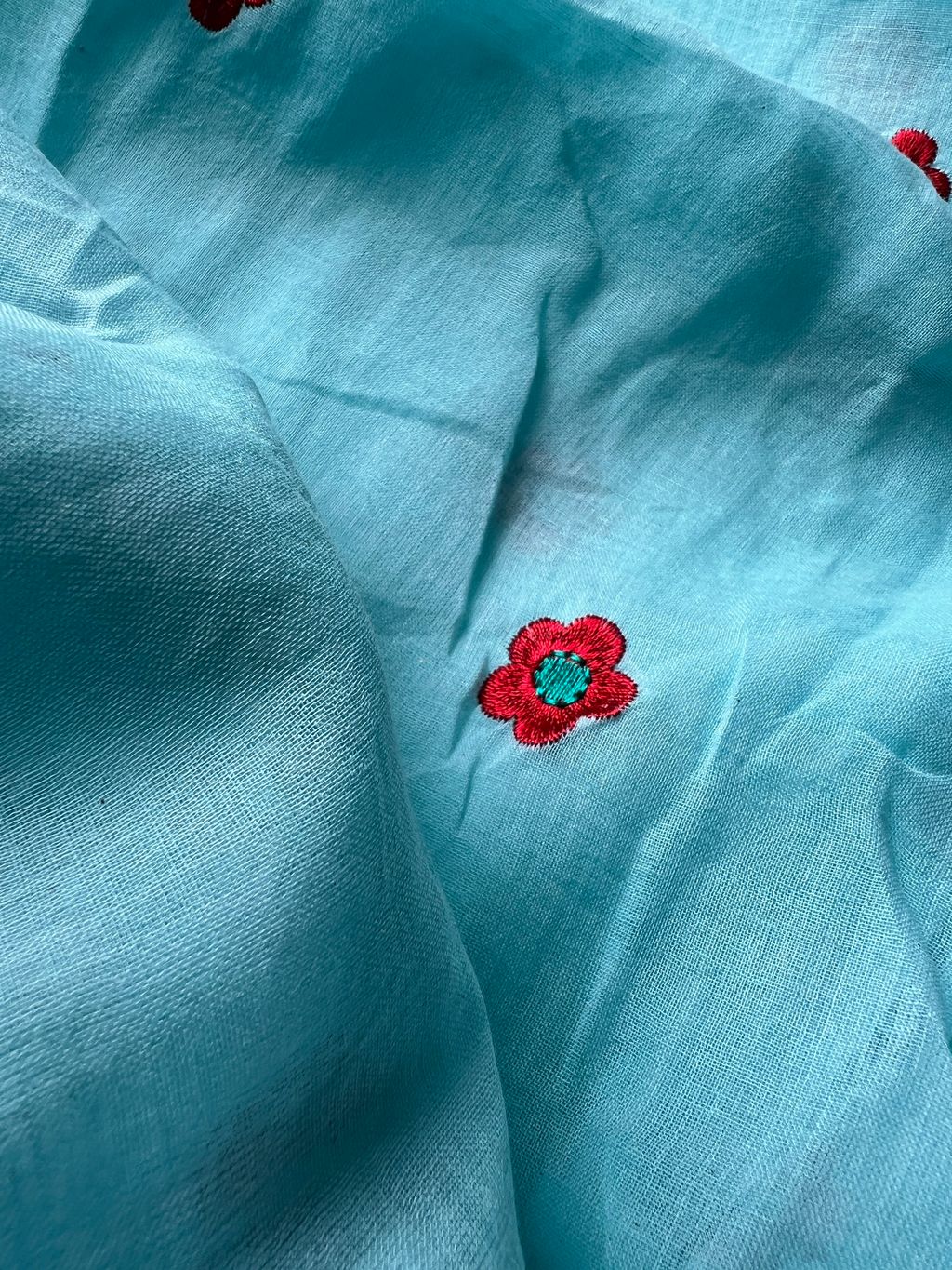 IMG_3823-1726115564635