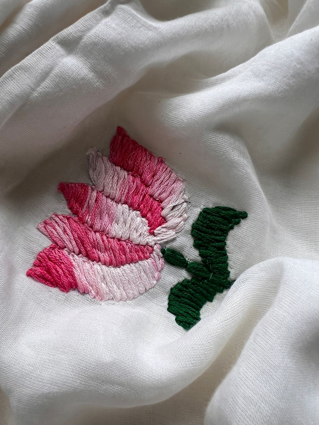 IMG_3832-1726117228306