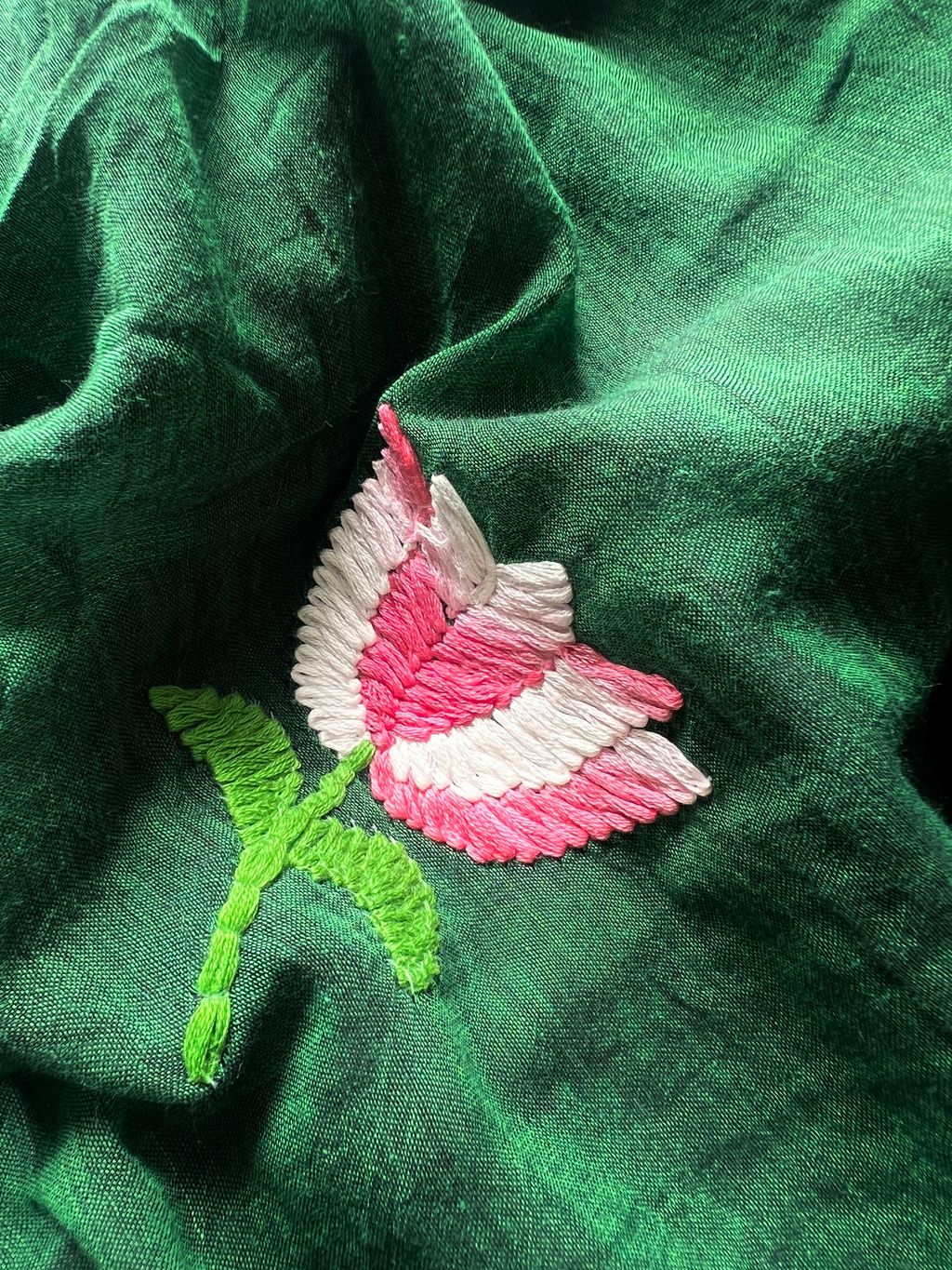 IMG_3837-1726117266064