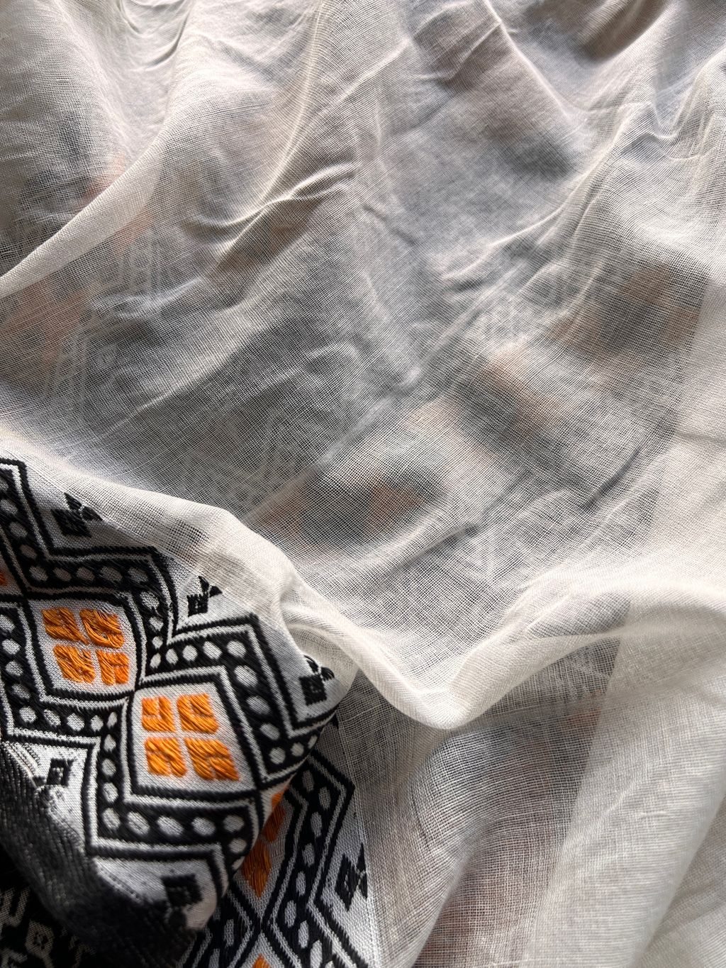 IMG_4535-1726637942392