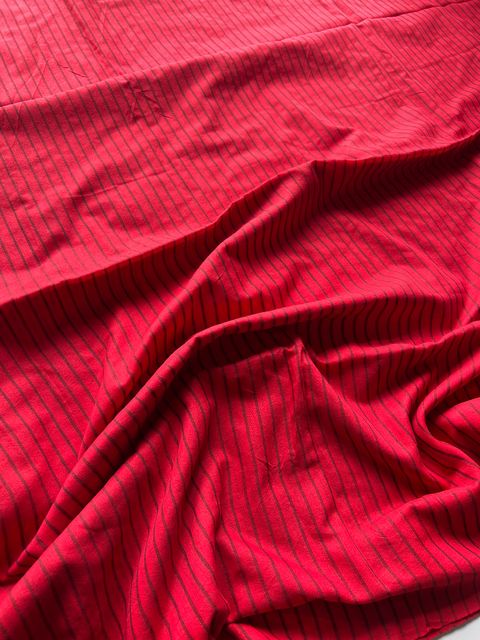 IMG_5195-1727412124346