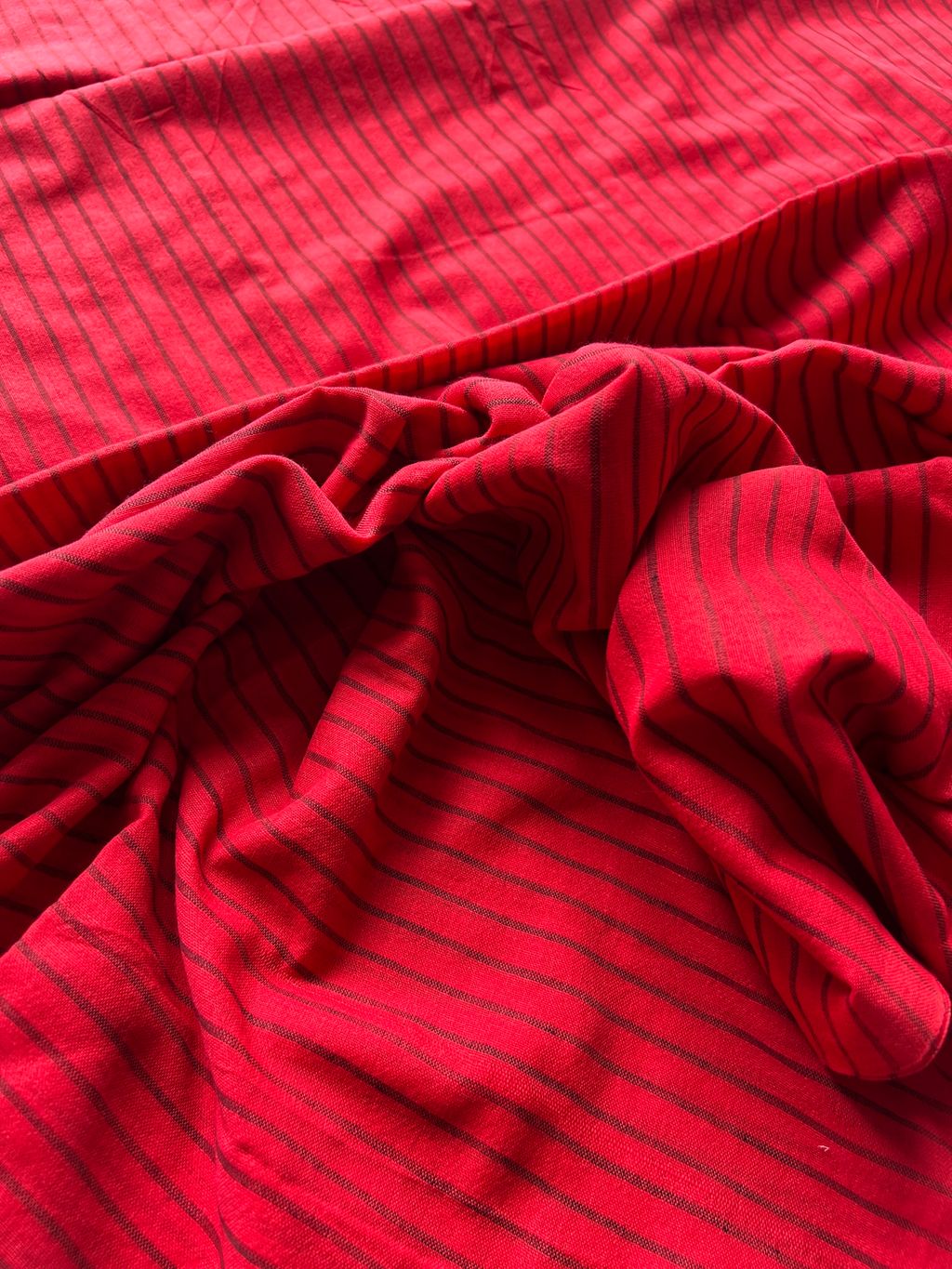 IMG_5196-1727412124353