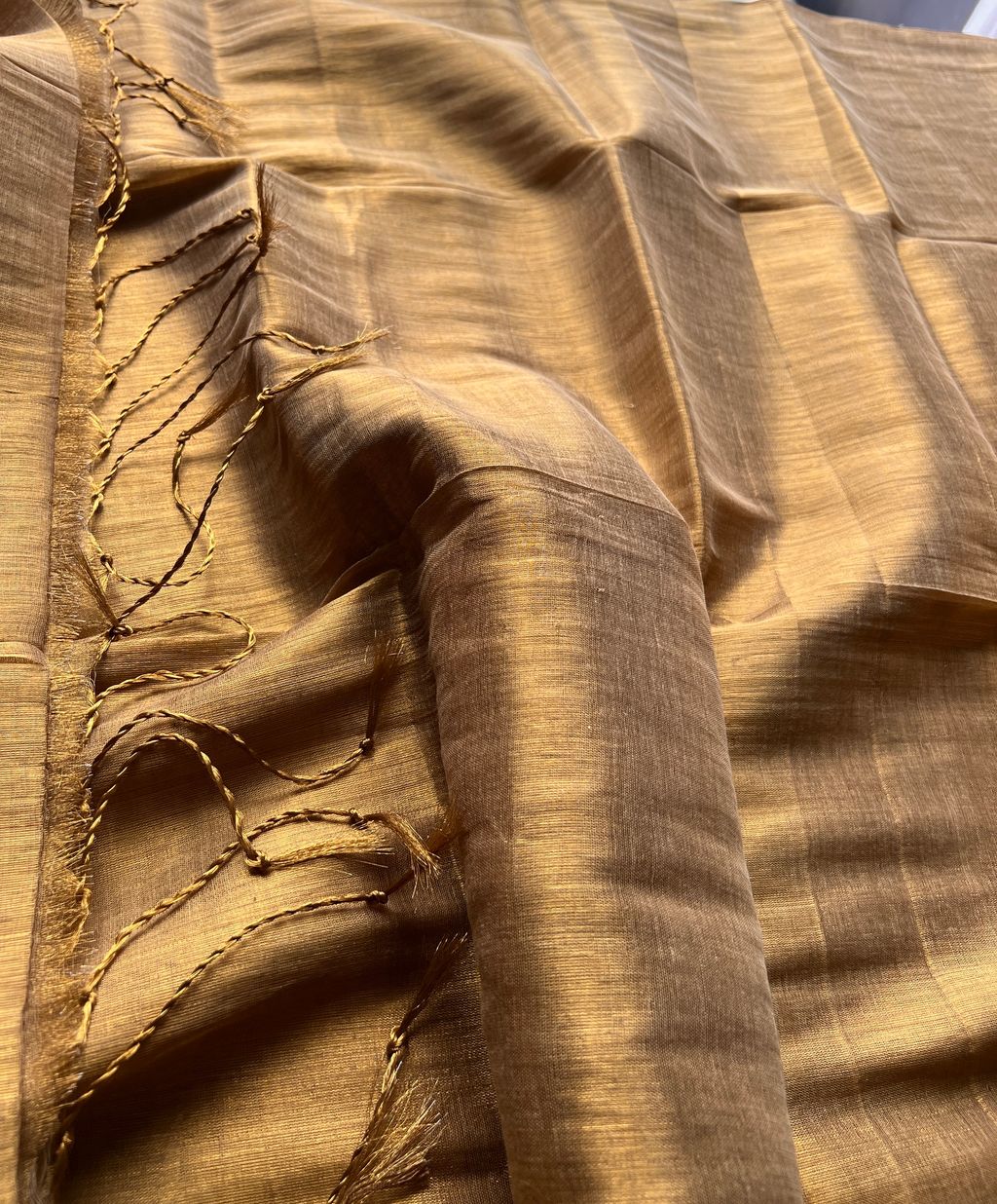 IMG_5464-1727756842183