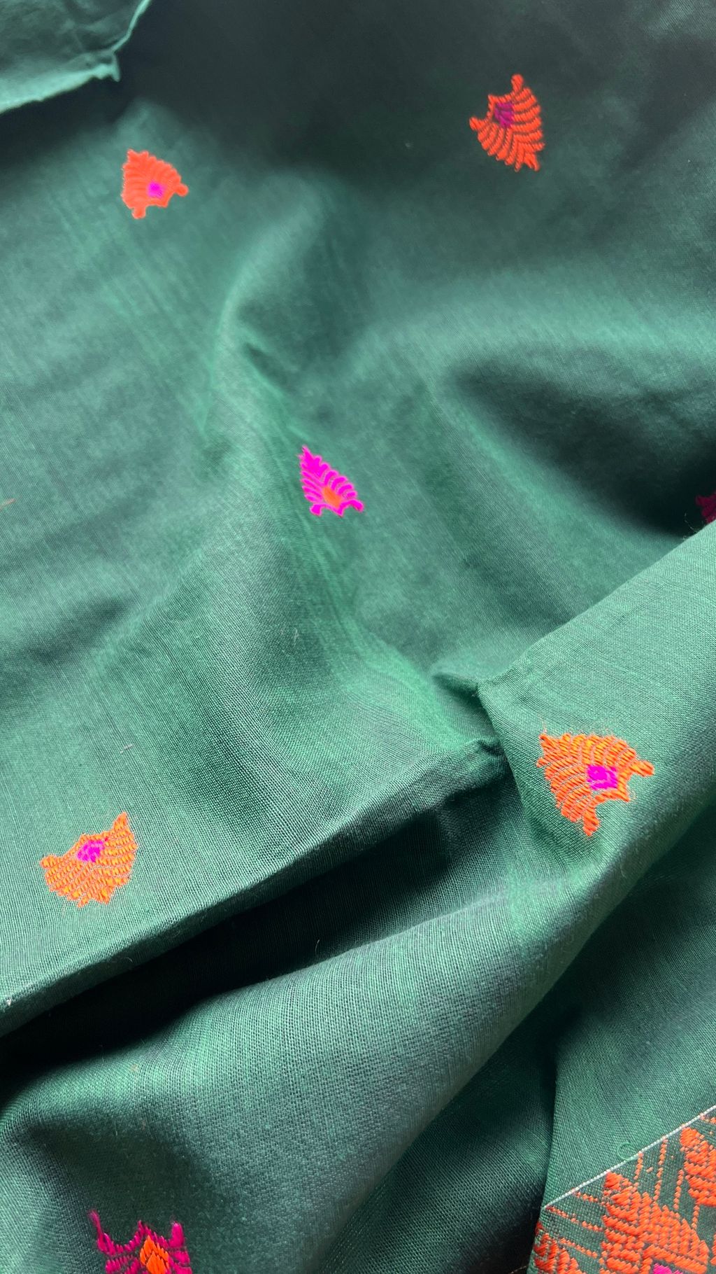 IMG_5525-1727762570320