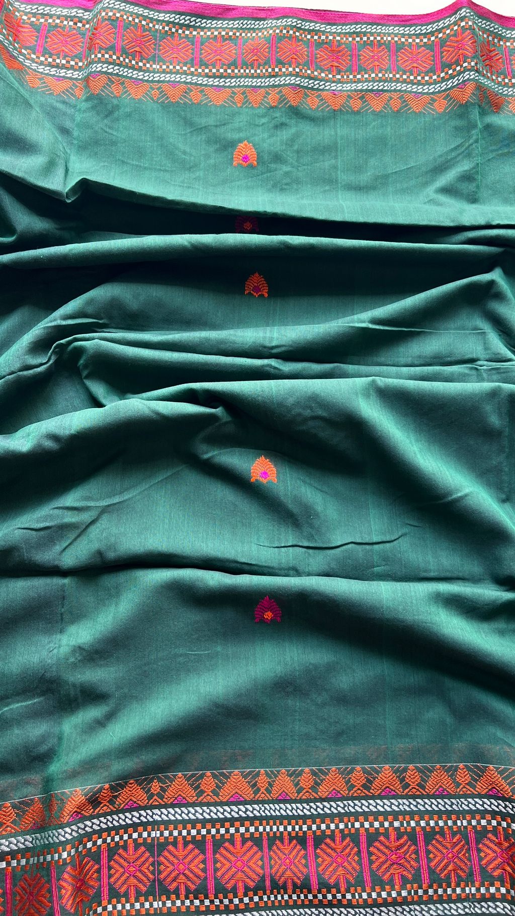 IMG_5529-1727762570390