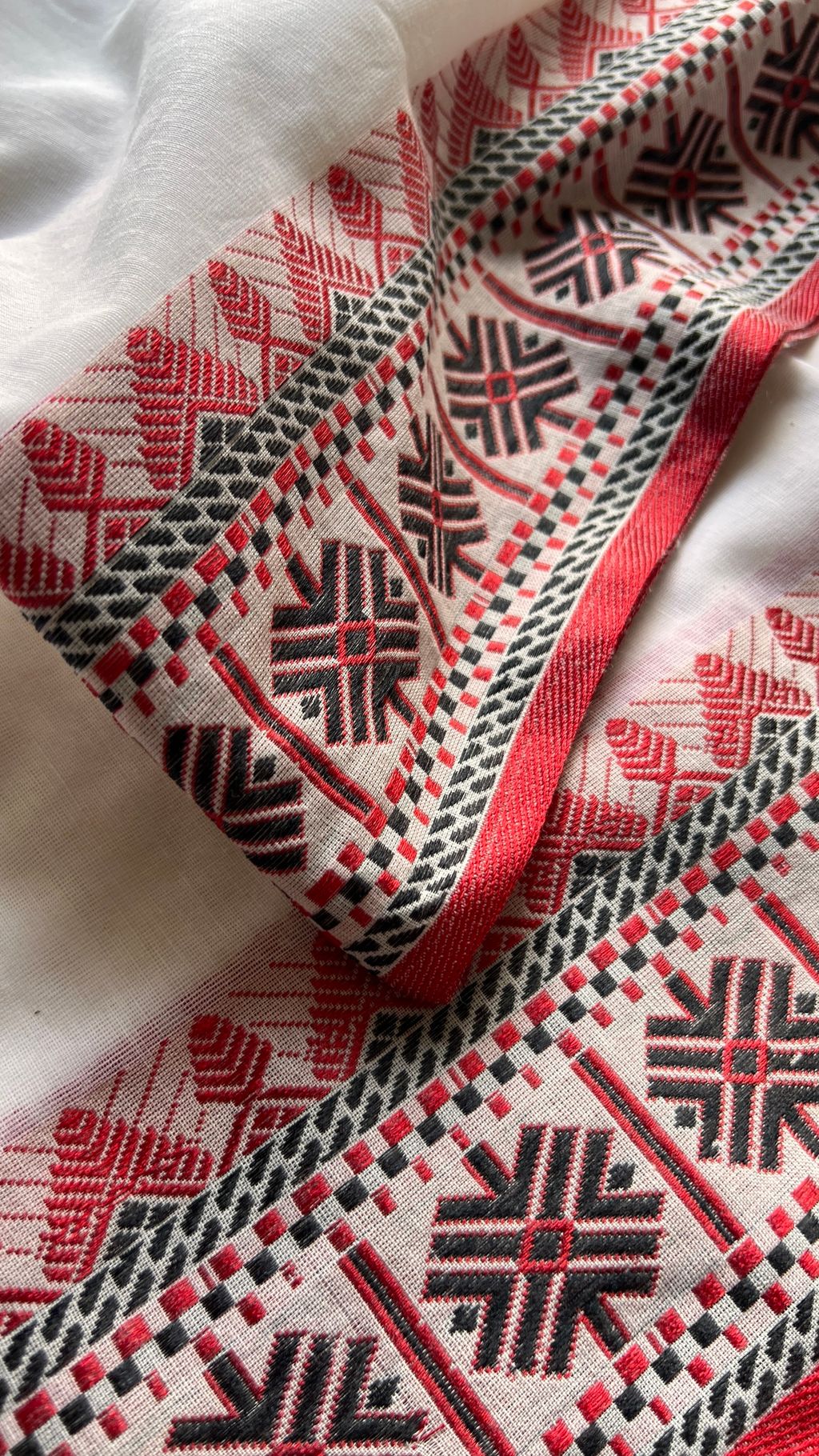 IMG_5533-1727762602521