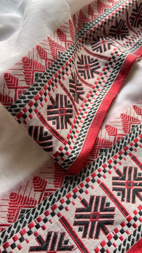 IMG_5533-1727762602521