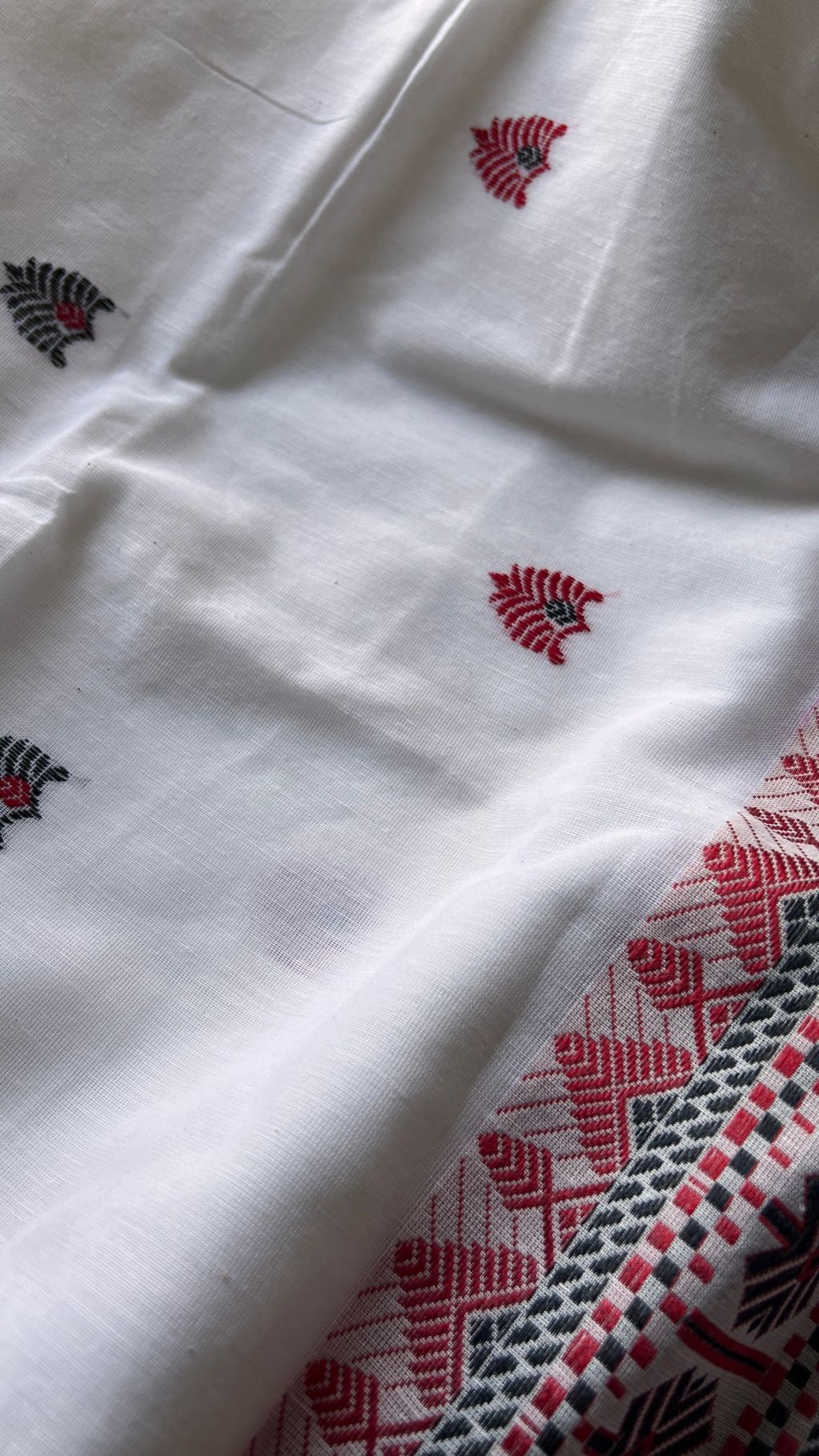 IMG_5534-1727762602561