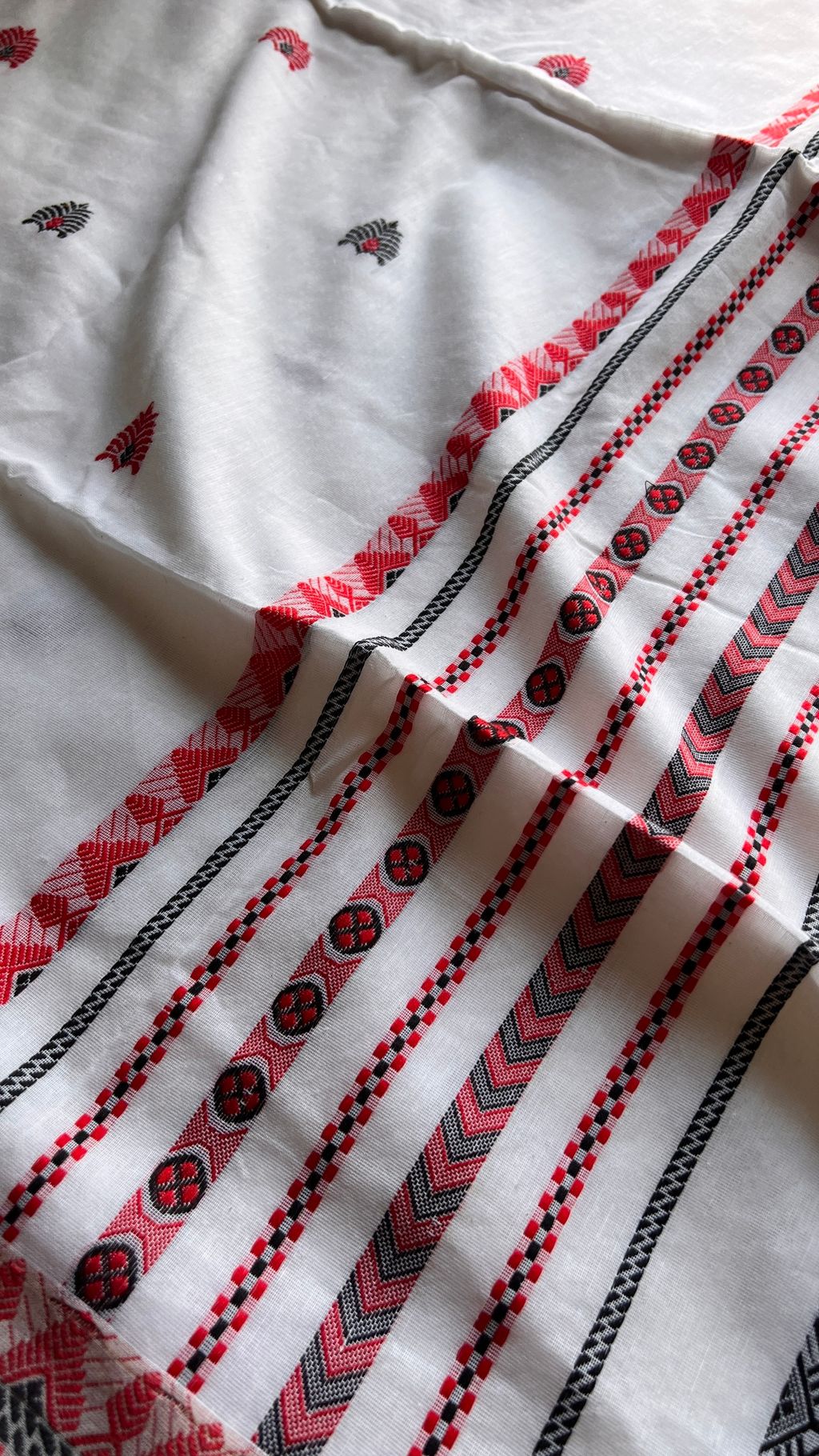 IMG_5537-1727762602619