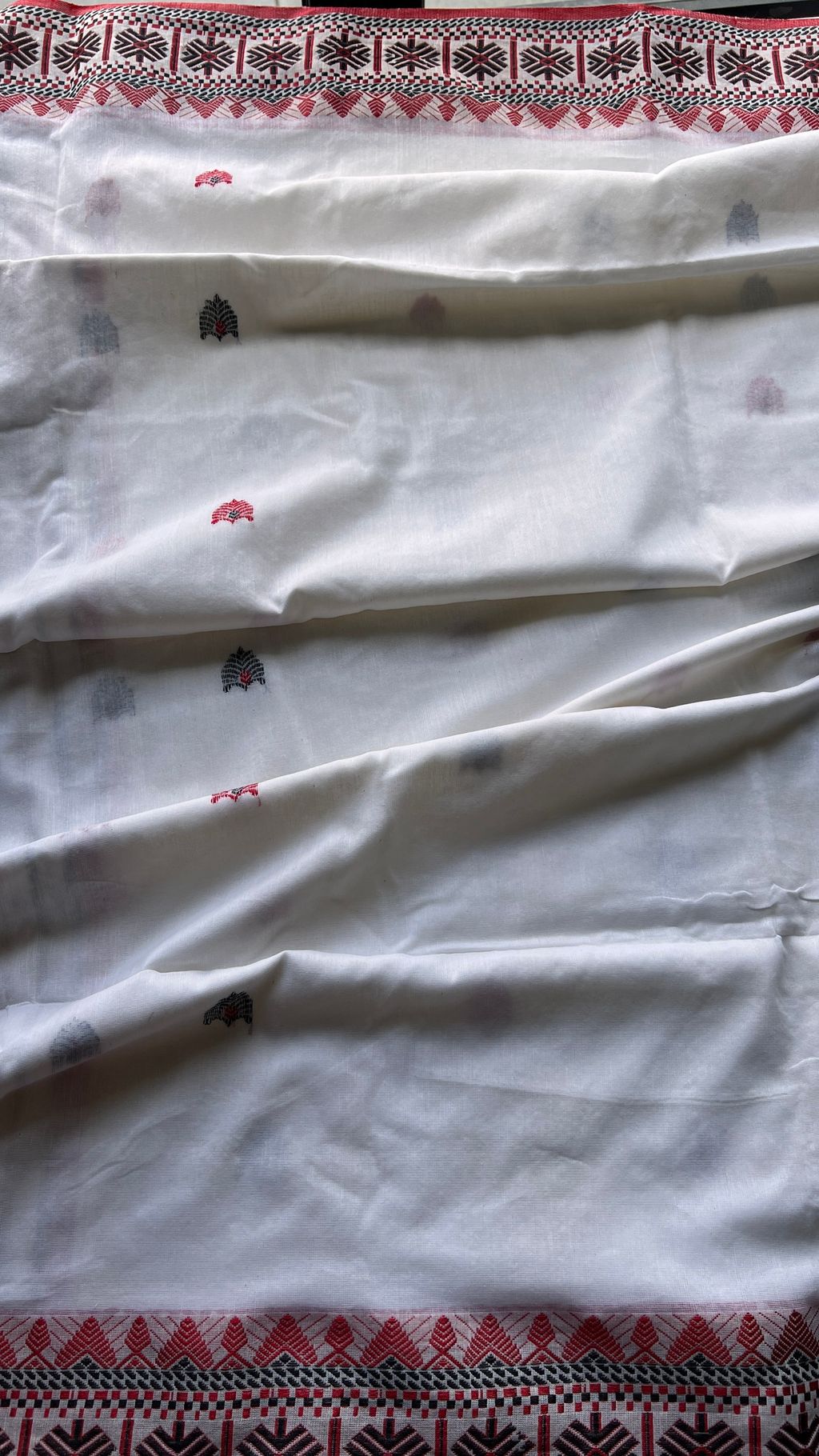 IMG_5538-1727762602636