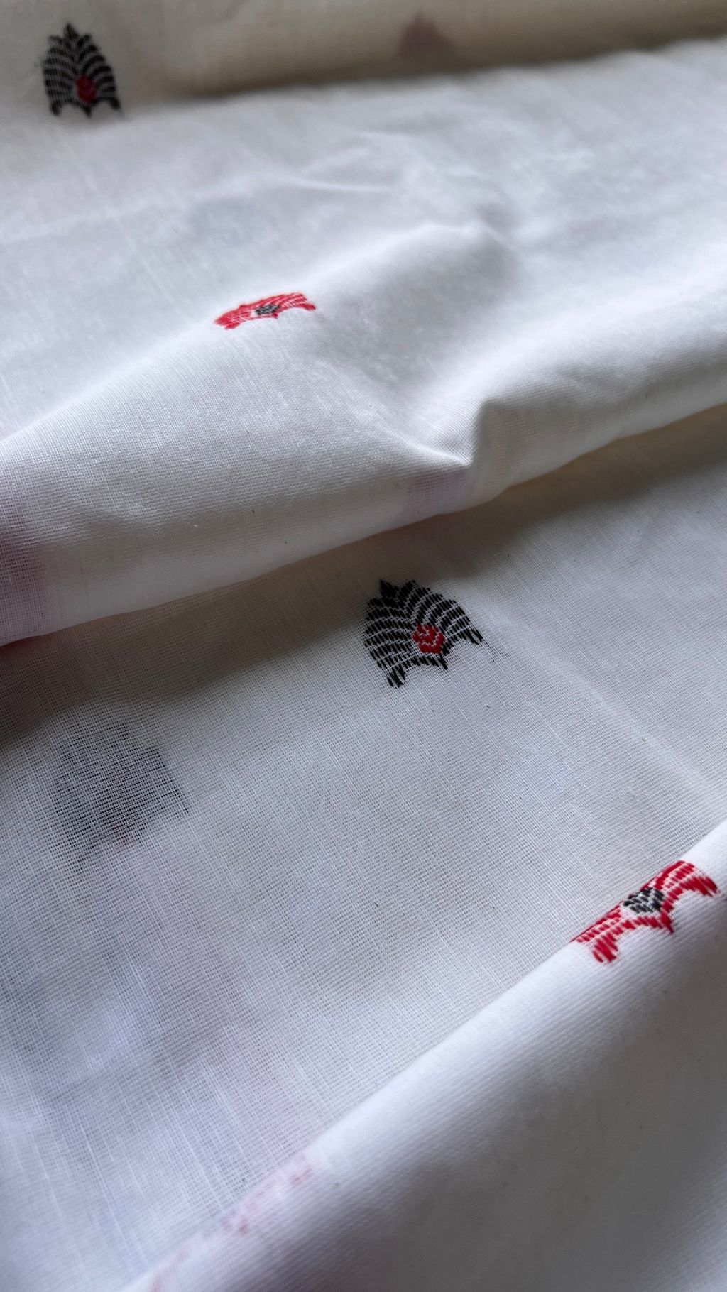 IMG_5539-1727762602653