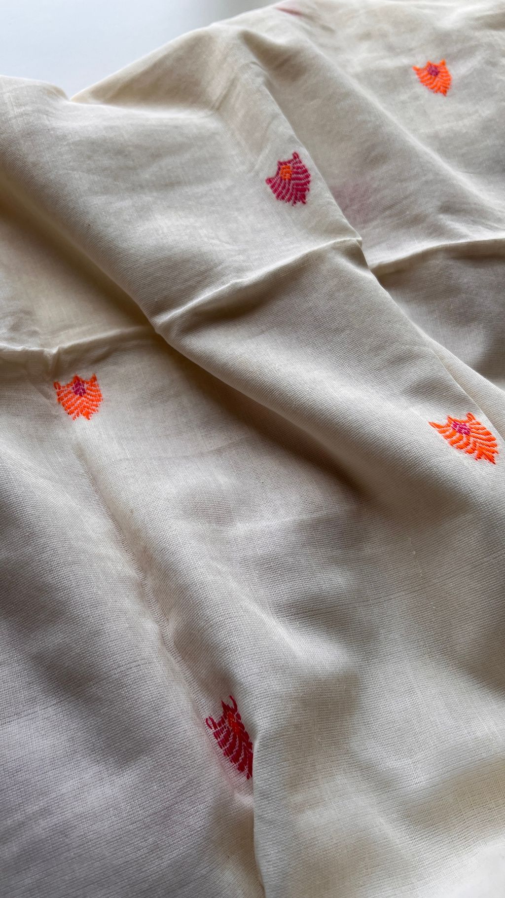 IMG_5542-1727762662191