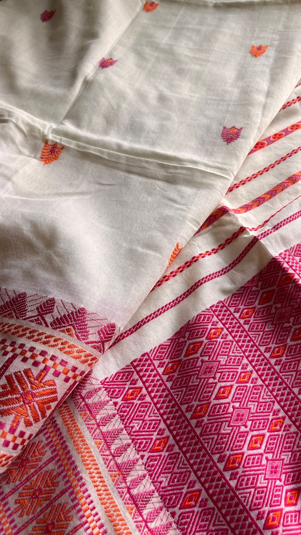 IMG_5546-1727762662266