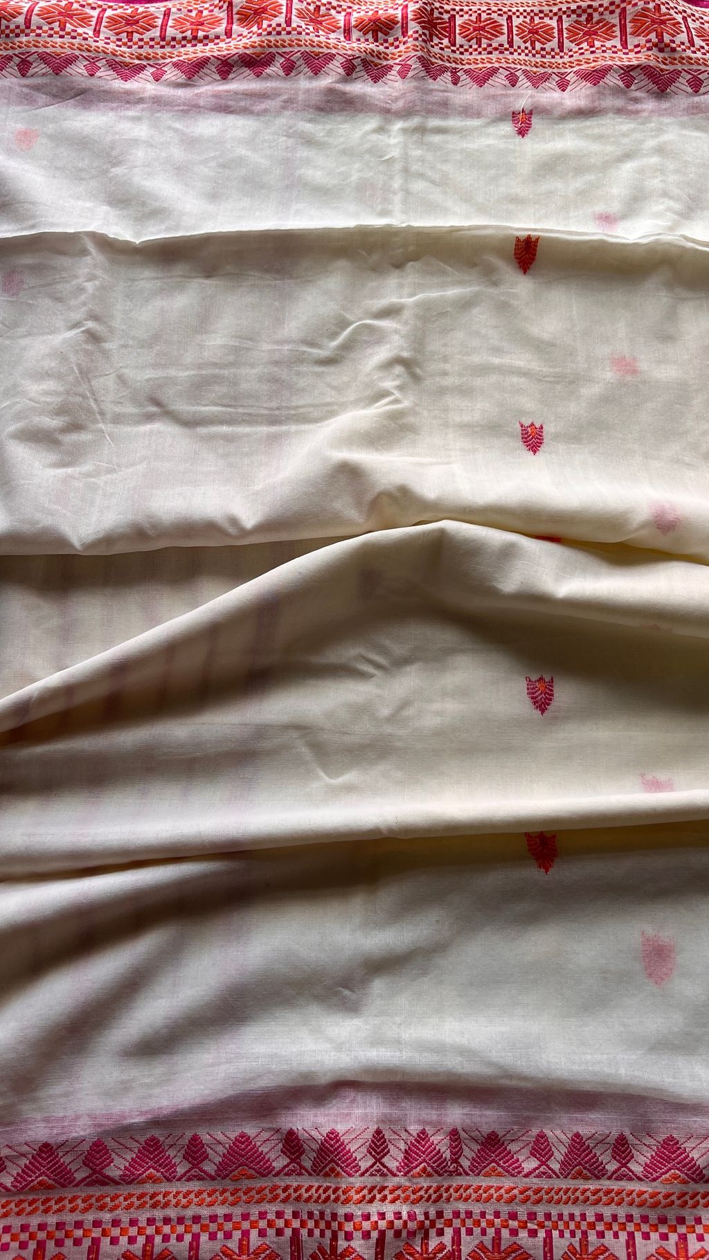 IMG_5547-1727762662284