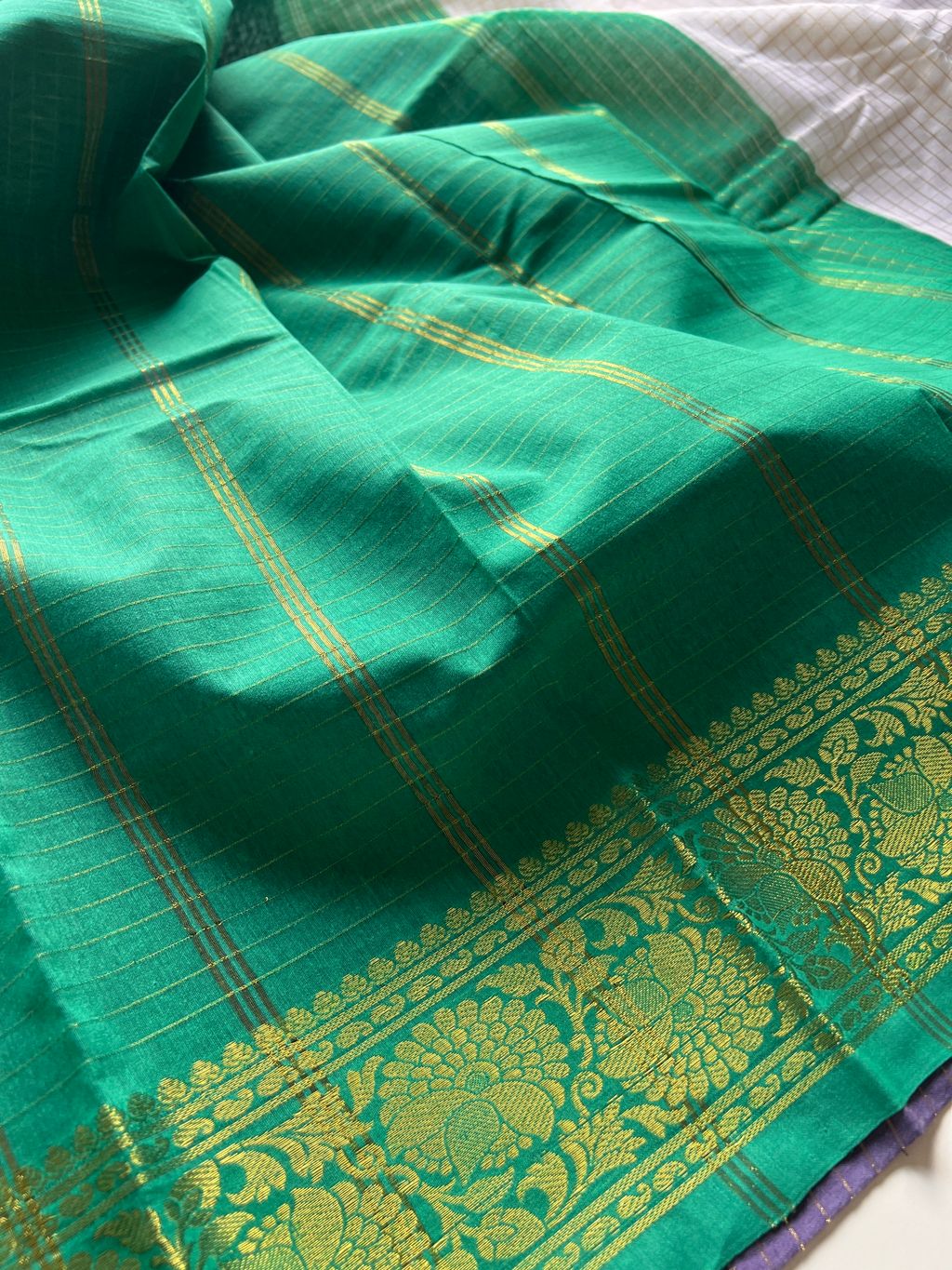 IMG_6258-1728357607353