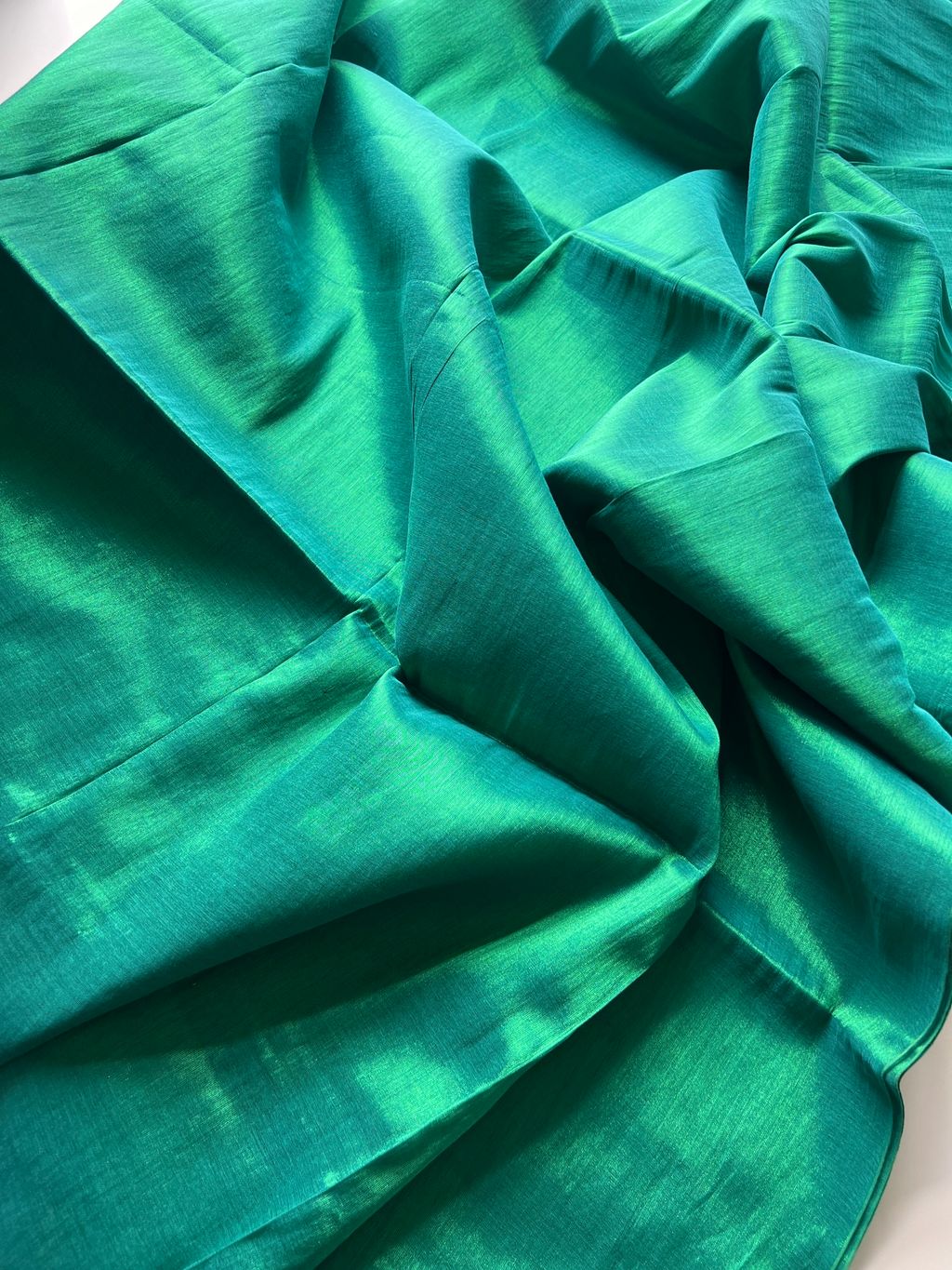 IMG_6446-1728365123522