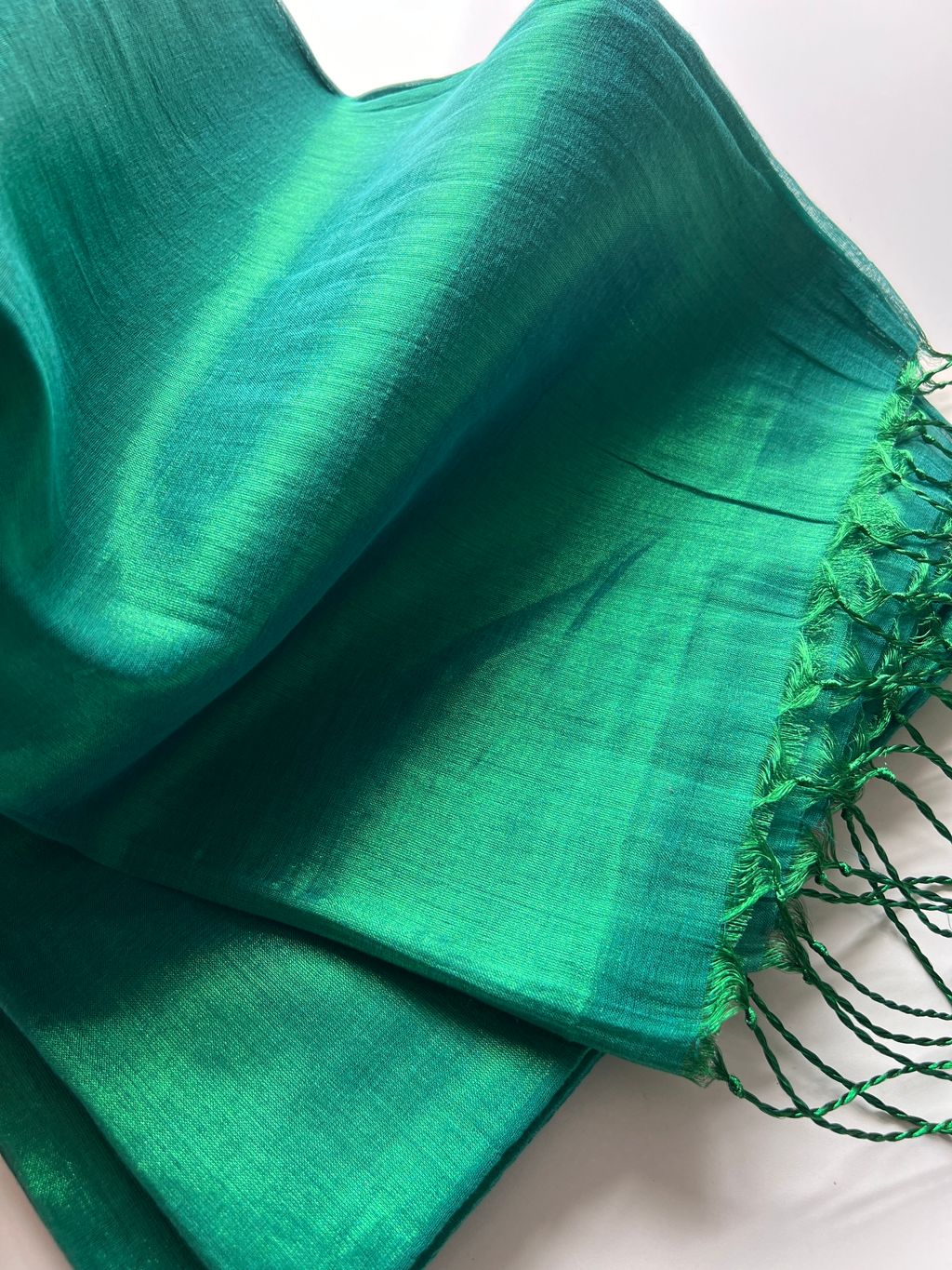 IMG_6450-1728365123556