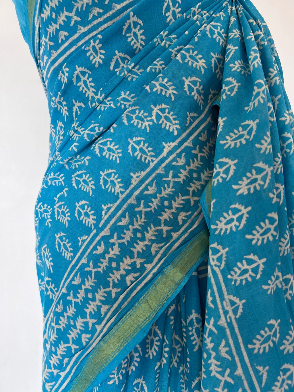 IMG_6565-1728454503255