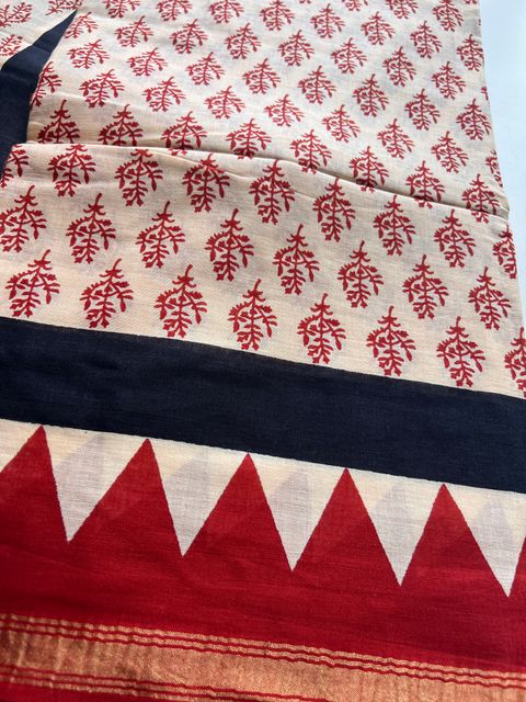 IMG_7342-1728878837857