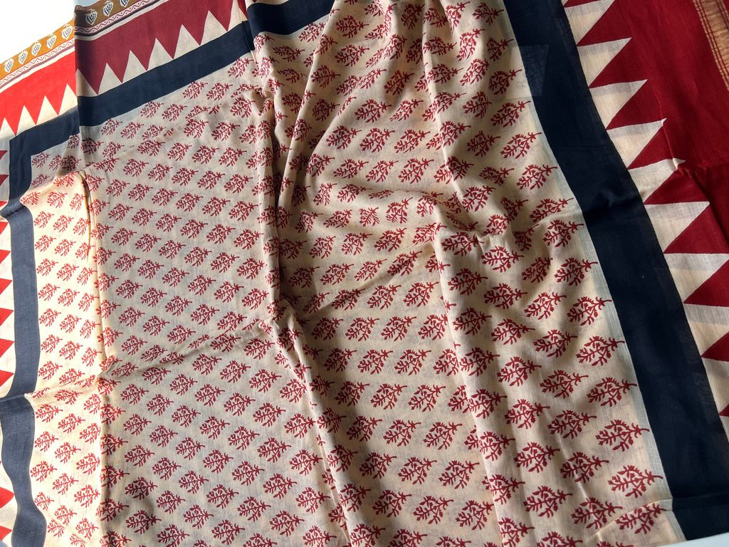 IMG_7343-1728878837861