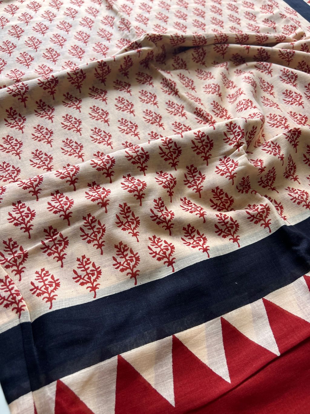 IMG_7344-1728878837862