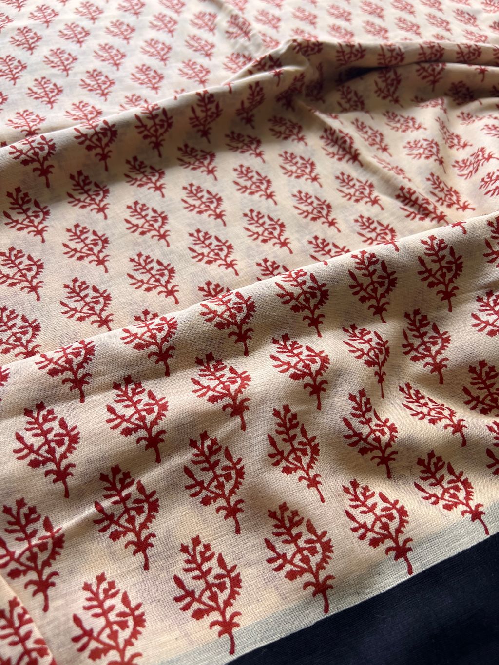 IMG_7345-1728878837866