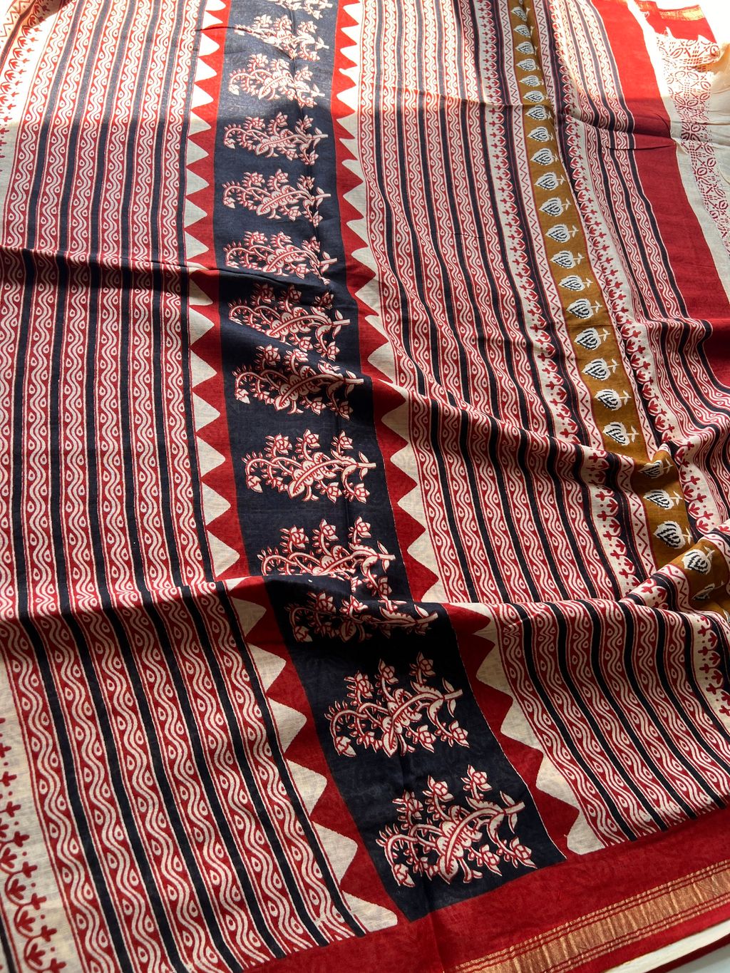 IMG_7346-1728878837870