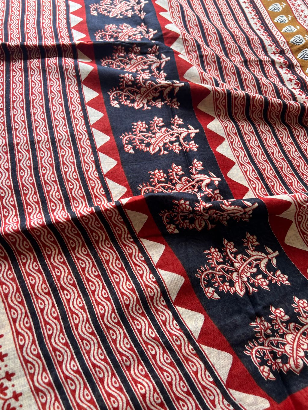 IMG_7347-1728878837873