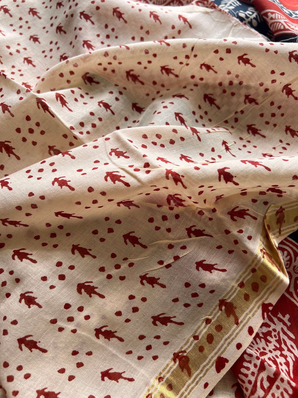 IMG_7356-1728878915029