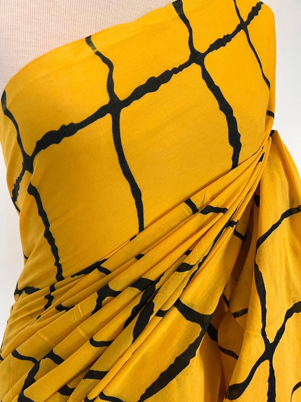 IMG_7482-1729040340070