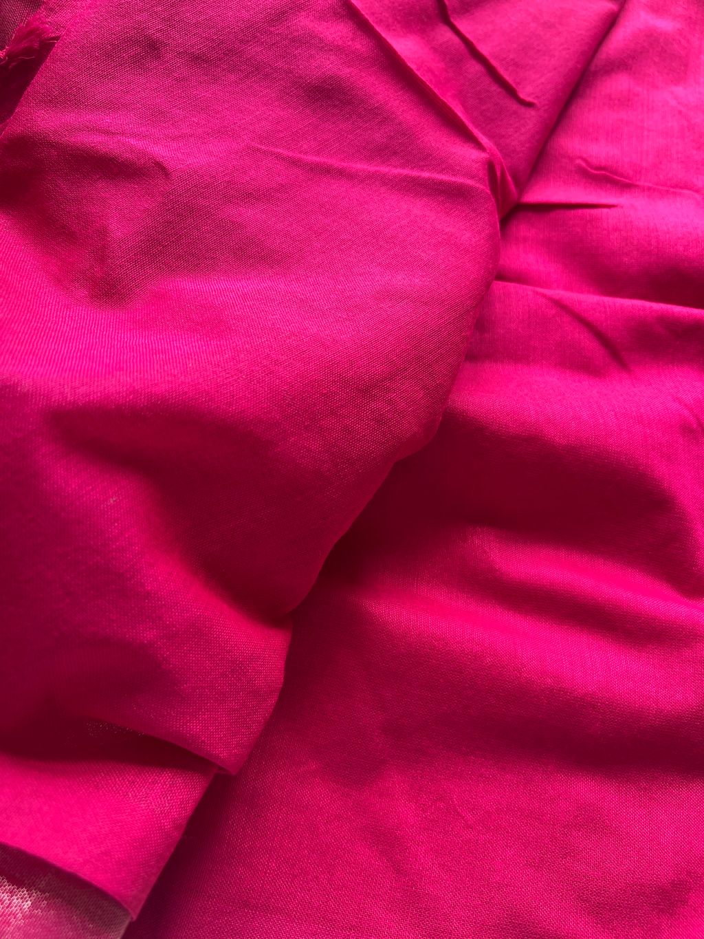 IMG_7692-1729048099924