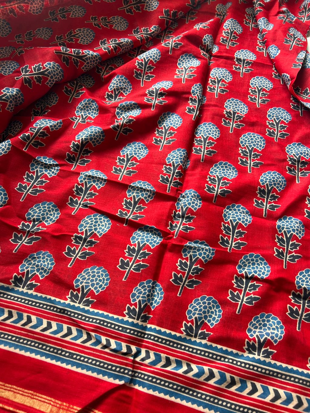 IMG_8704-1729573114480