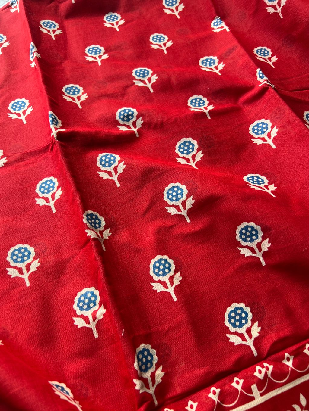 IMG_8731-1729573283560