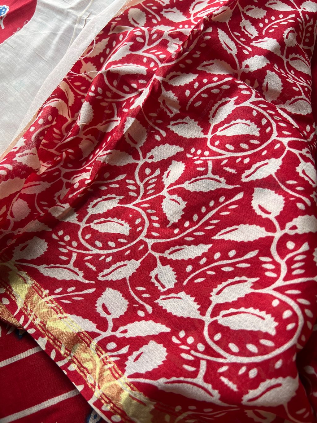 IMG_8734-1729573283576