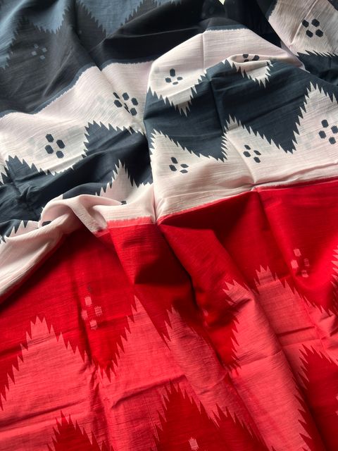 IMG_8737-1729573388559