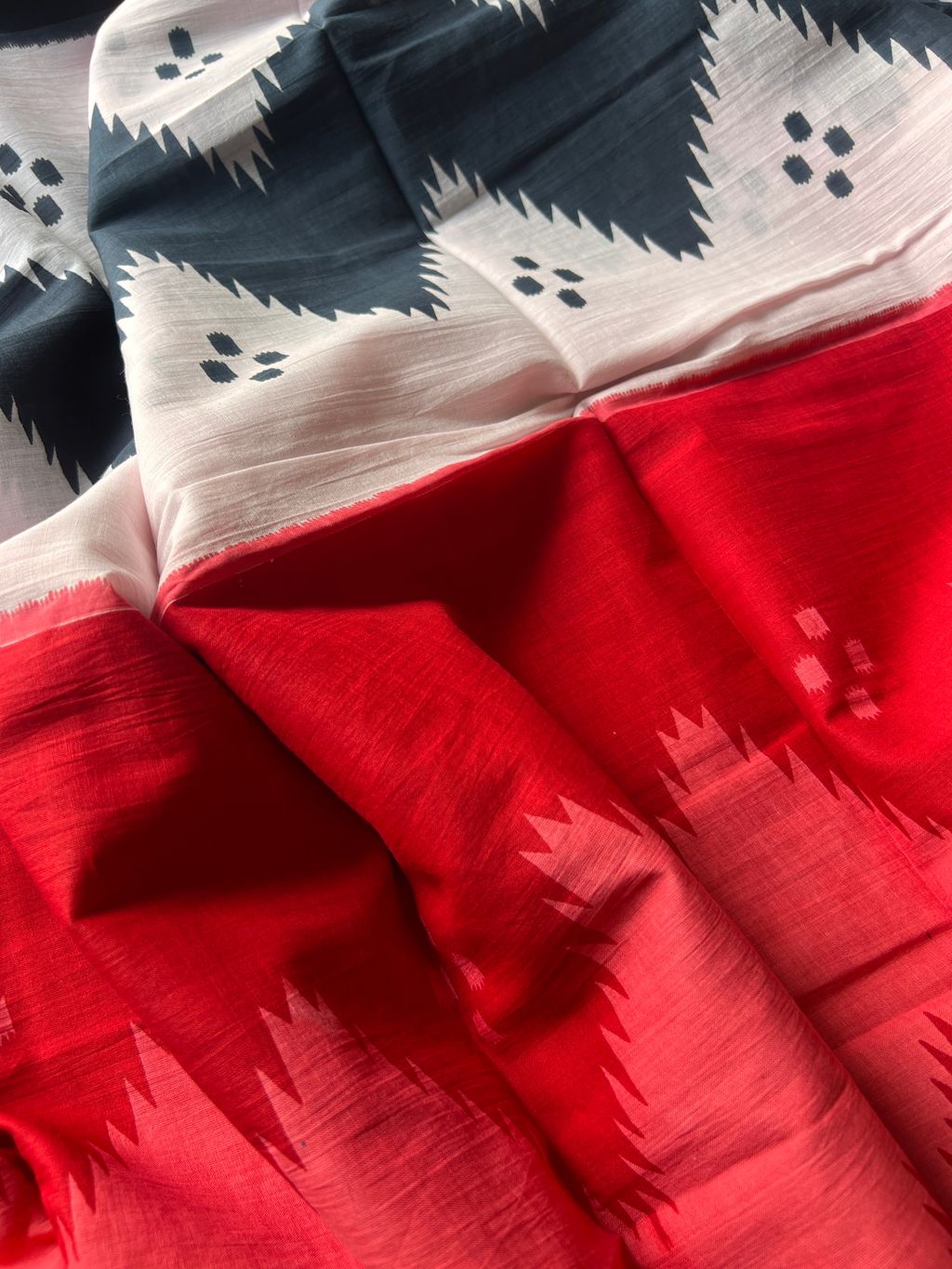 IMG_8739-1729573388565