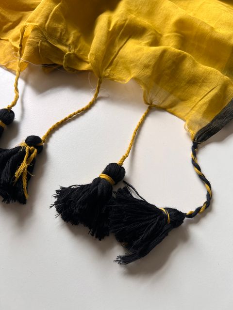 IMG_9701-1730088691915