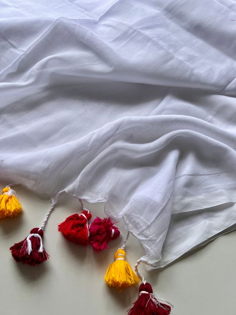 IMG_9696-1730088719680