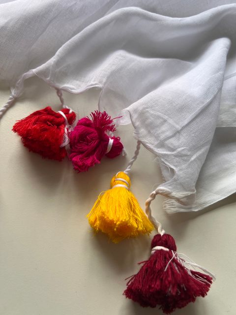 IMG_9697-1730088719694