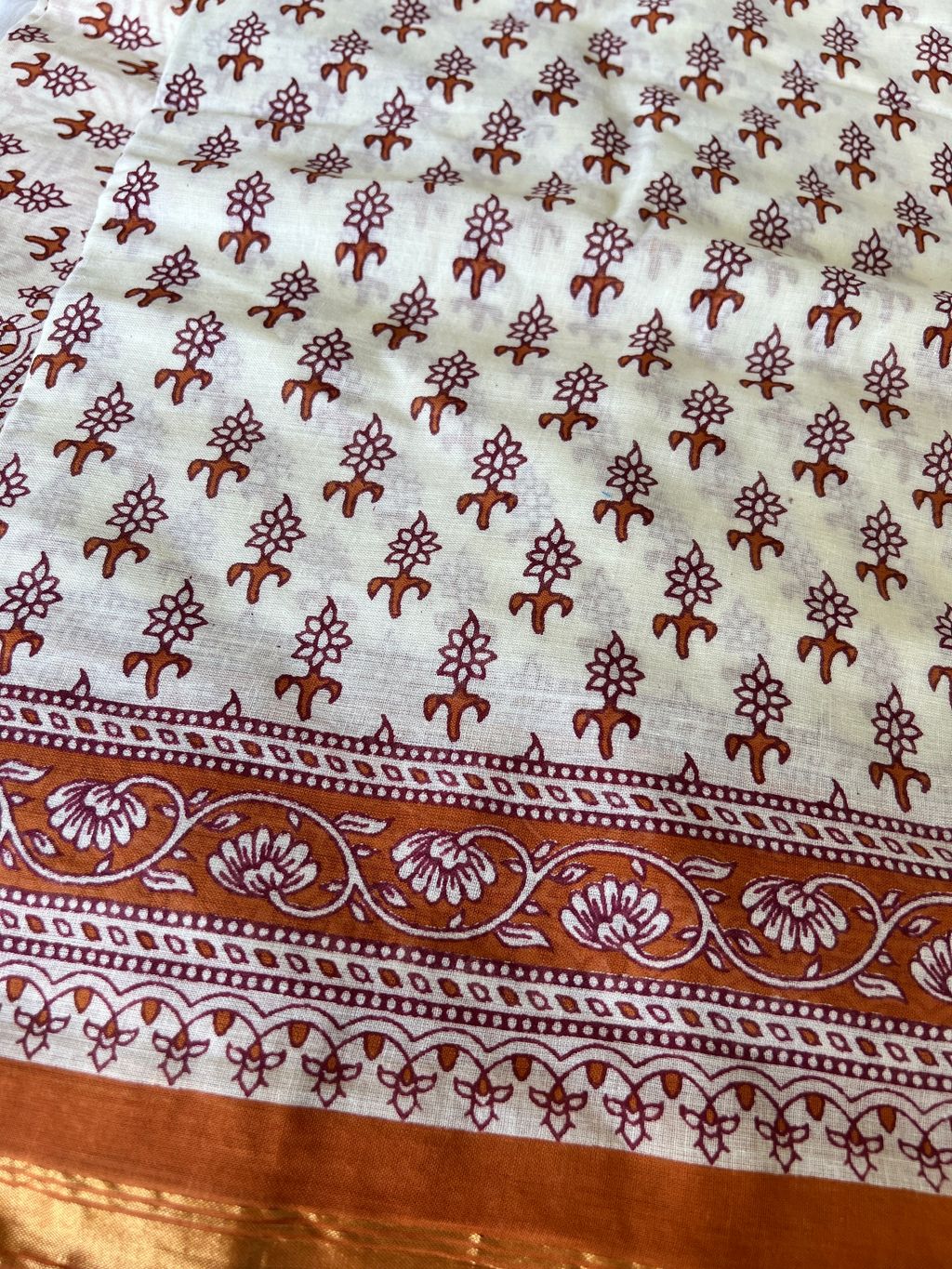 IMG_1883-1731296599219