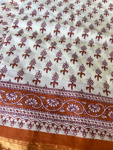 IMG_1883-1731296599219