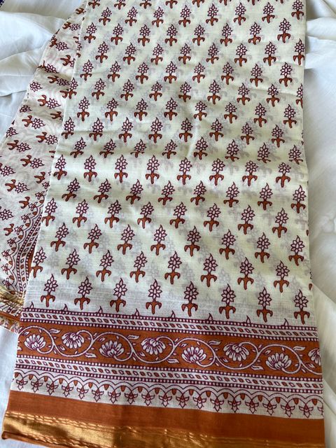 IMG_1882-1731296599214