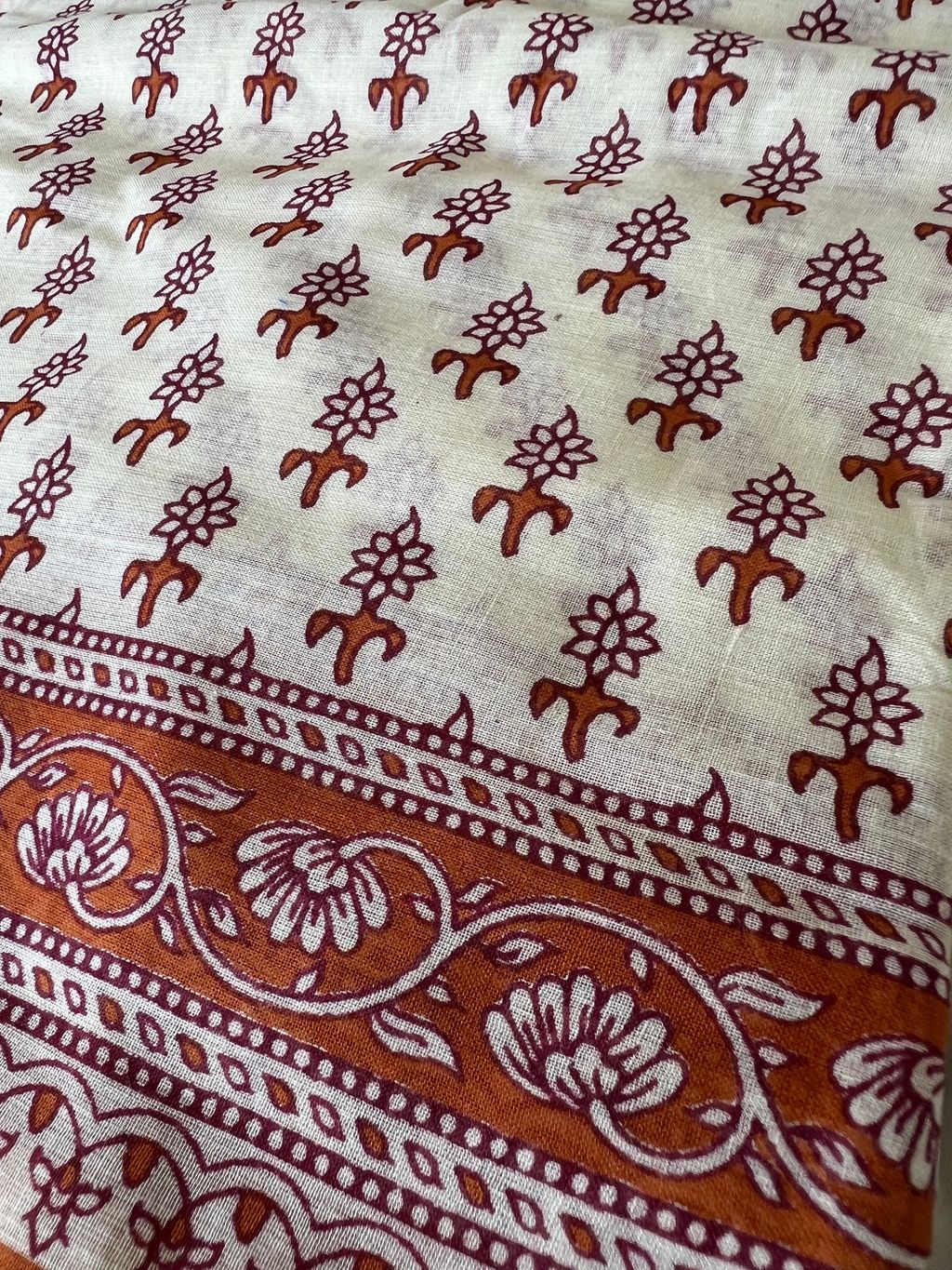 IMG_1884-1731296601265