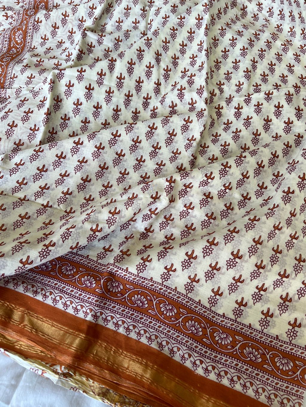 IMG_1885-1731296599205