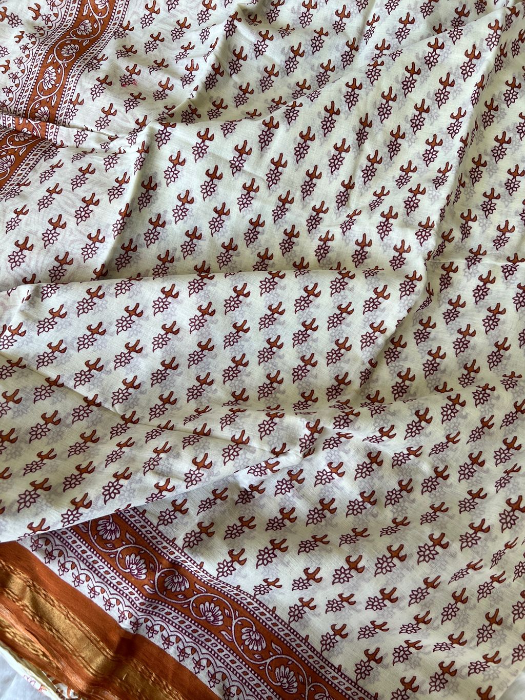 IMG_1886-1731296599227