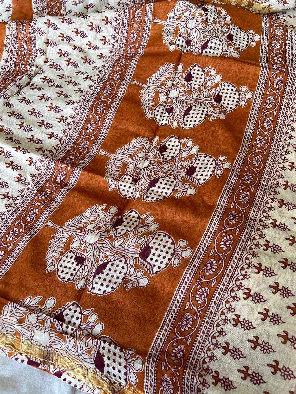 IMG_1888-1731296599235