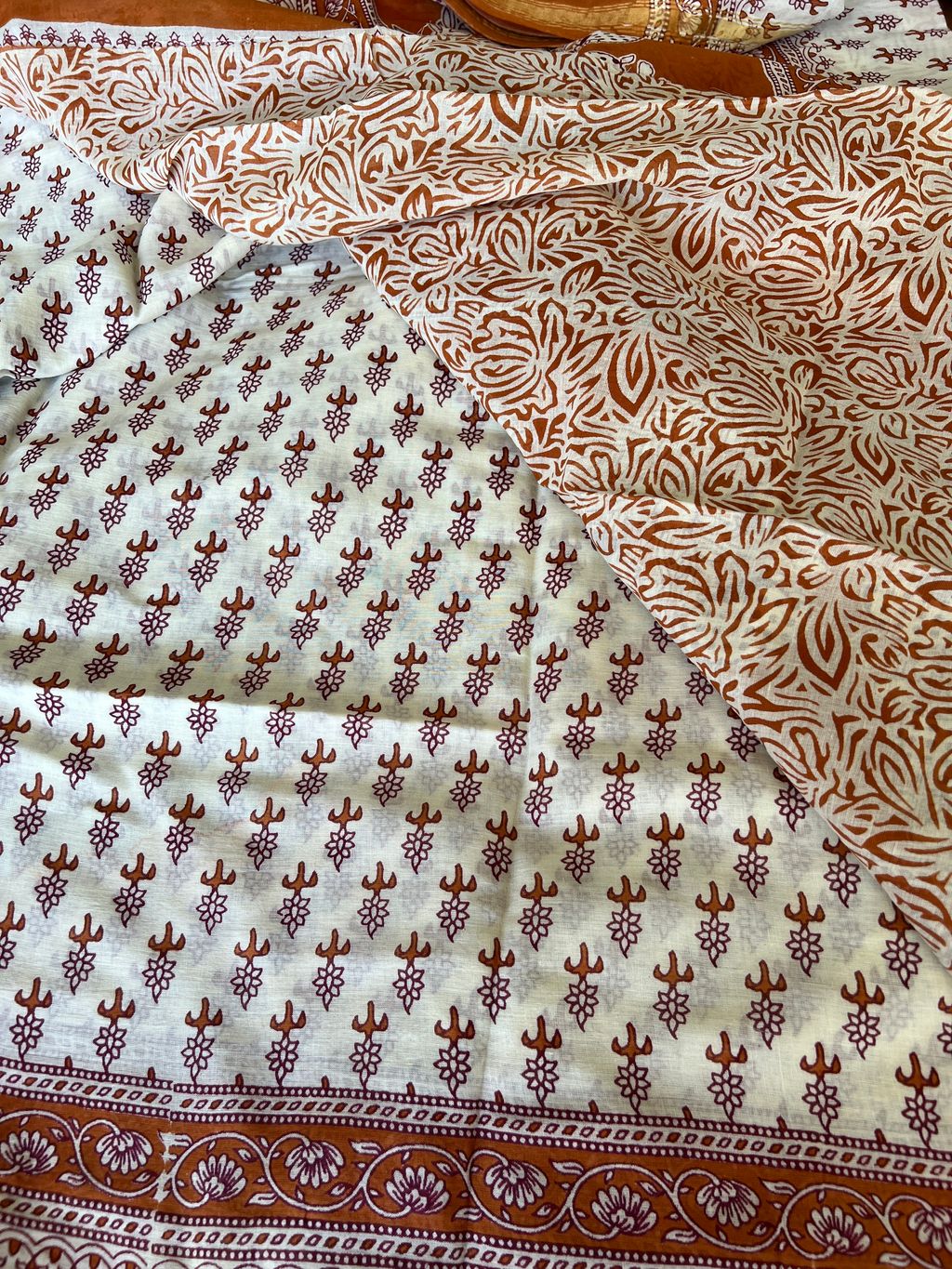 IMG_1891-1731296599249