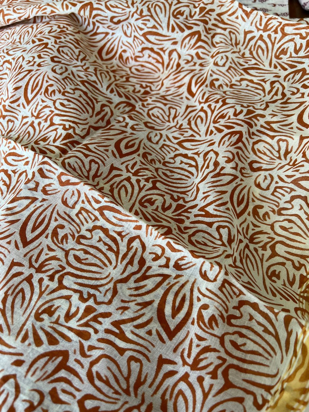 IMG_1890-1731296599255