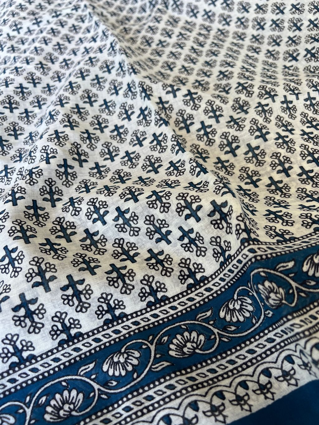 IMG_1876-1731296682792